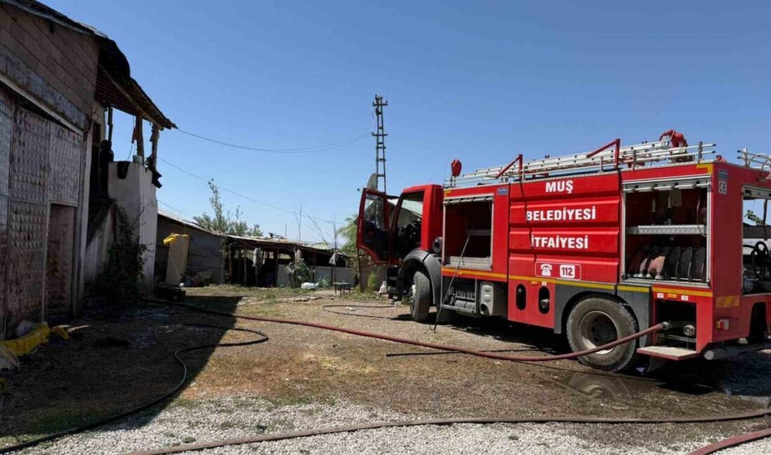 Muş'ta Tarihi Murat Köprüsü yakınında çıkan yangın, itfaiye ekiplerince söndürüldü.