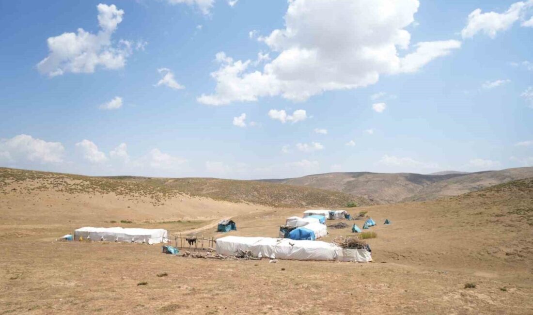 Muş'taki besiciler, yaz mevsimini yaylalarda geçirdikten sonra kış için köylere