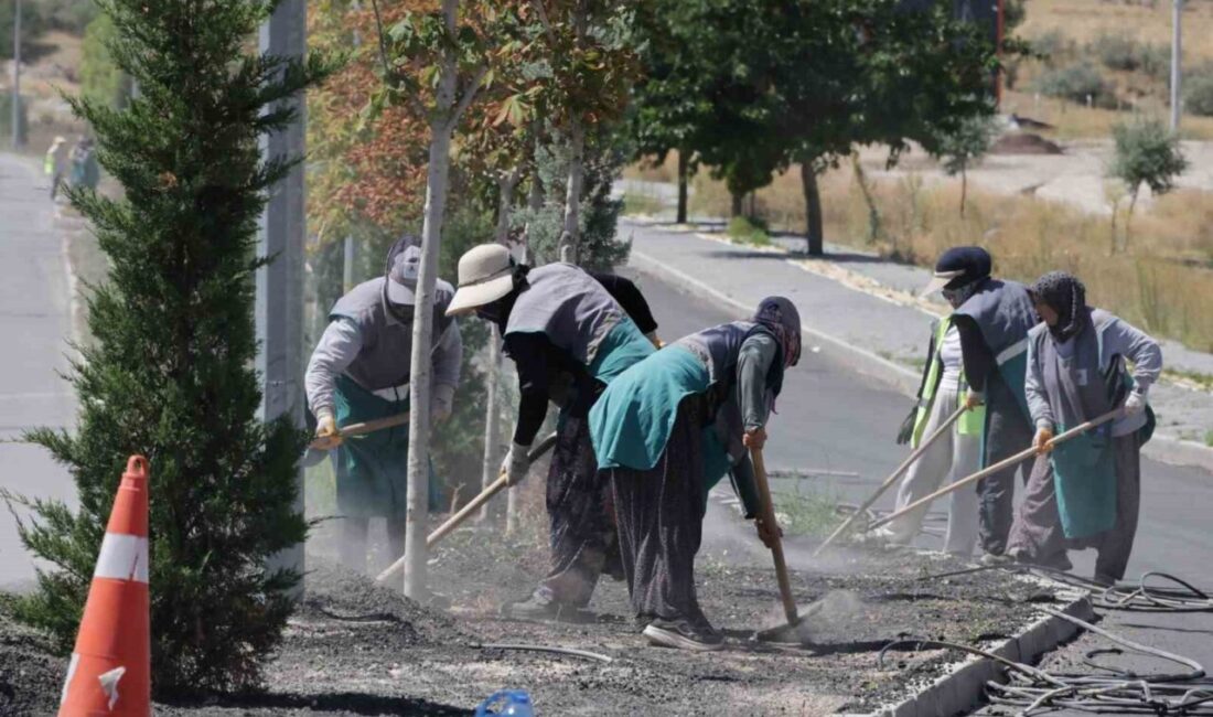 Nevşehir Belediyesi, şehrin estetiğini artırmak amacıyla orta refüjlere ağaçlandırma, çiçek