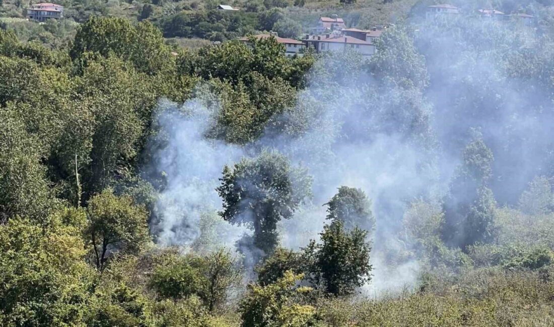 Ordu'nun Ünye ilçesinde fındık bahçesi temizliği sırasında yakılan ateş, rüzgar