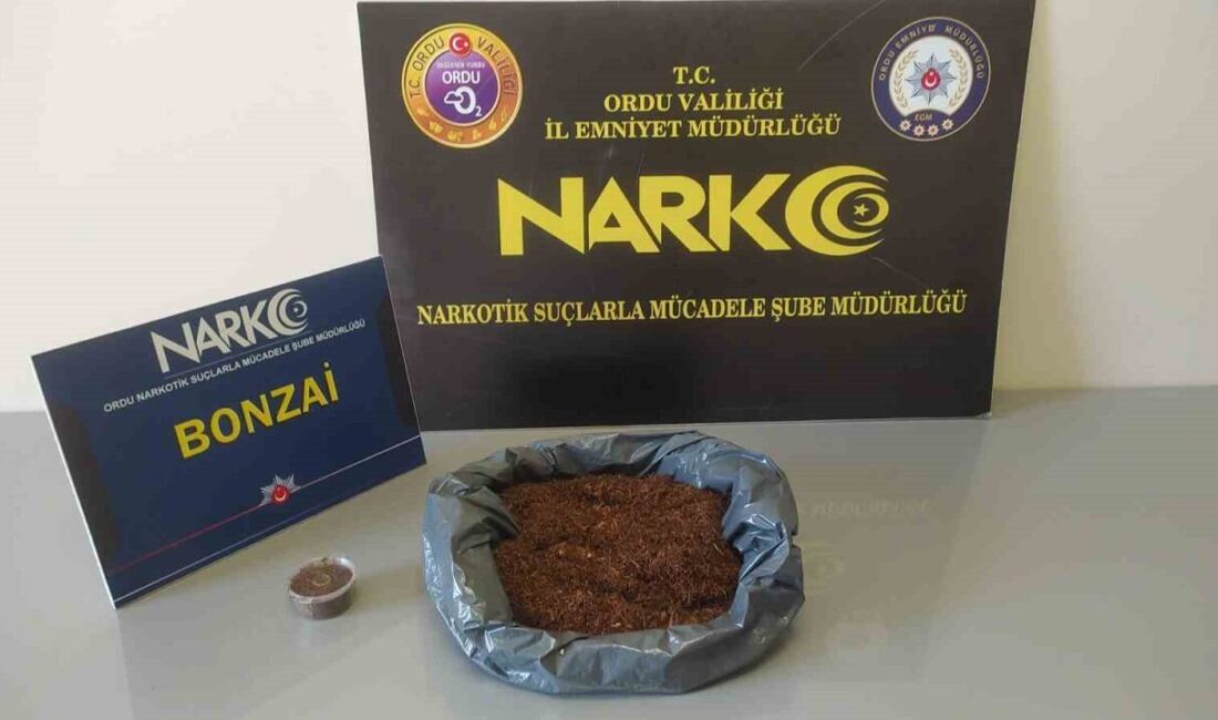 Ordu'da gerçekleştirilen uyuşturucu operasyonlarında 2 şüpheli tutuklandı, 1 şüpheli adli