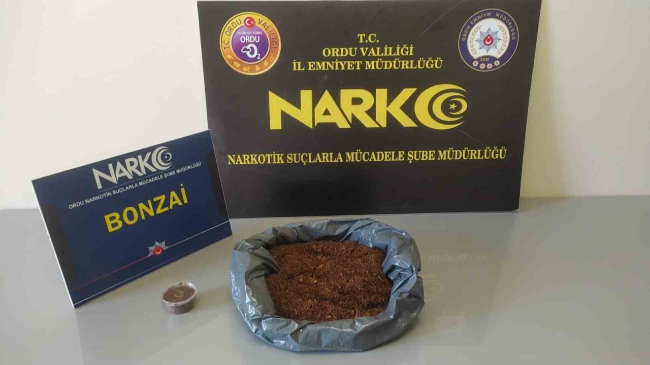 Ordu'da gerçekleştirilen uyuşturucu operasyonlarında 2 şüpheli tutuklandı, 1 şüpheli adli