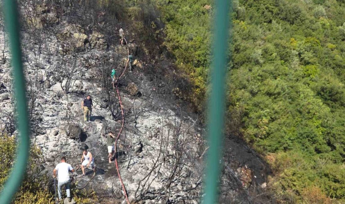 Bursa'nın Orhangazi ilçesindeki Gedelek Mahallesi'nde makilik alanda çıkan yangın, vatandaşların