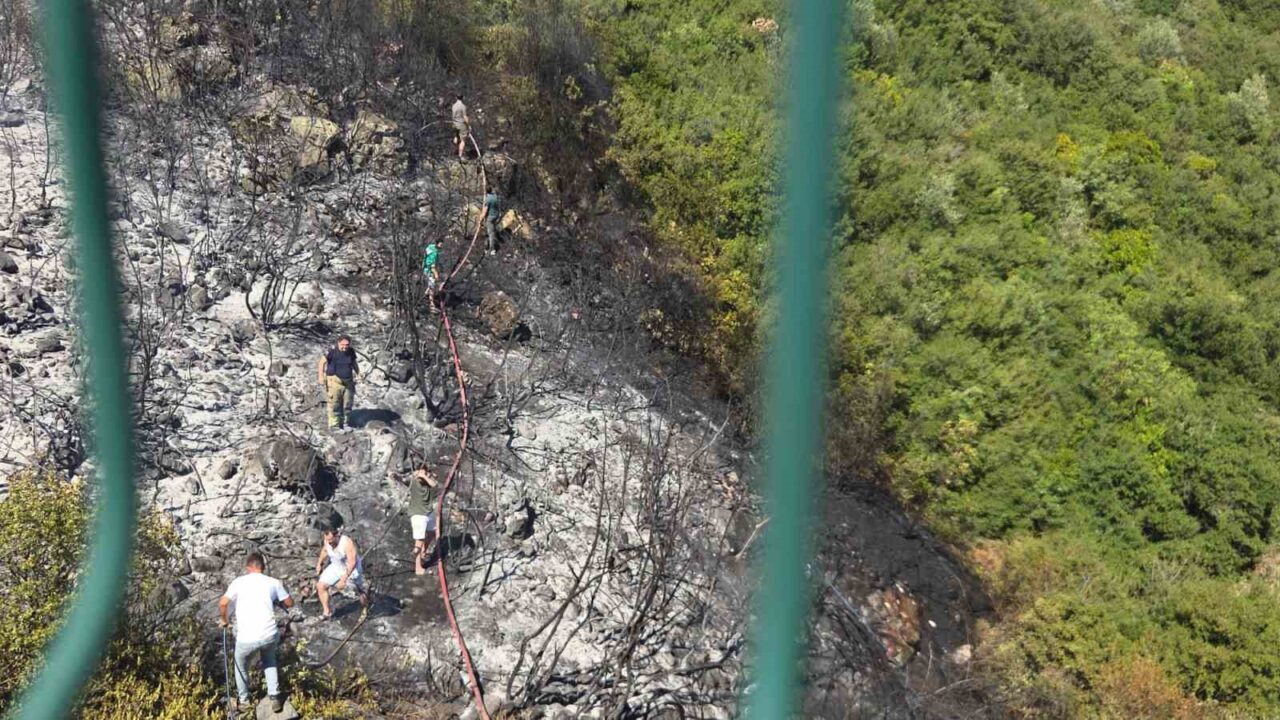 Bursa'nın Orhangazi ilçesindeki Gedelek Mahallesi'nde makilik alanda çıkan yangın, vatandaşların