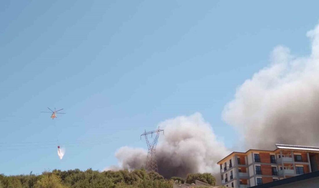 Kahramanmaraş'ta Orman Bölge Müdürlüğü inşaatının çatısında çıkan yangına itfaiye ekipleri
