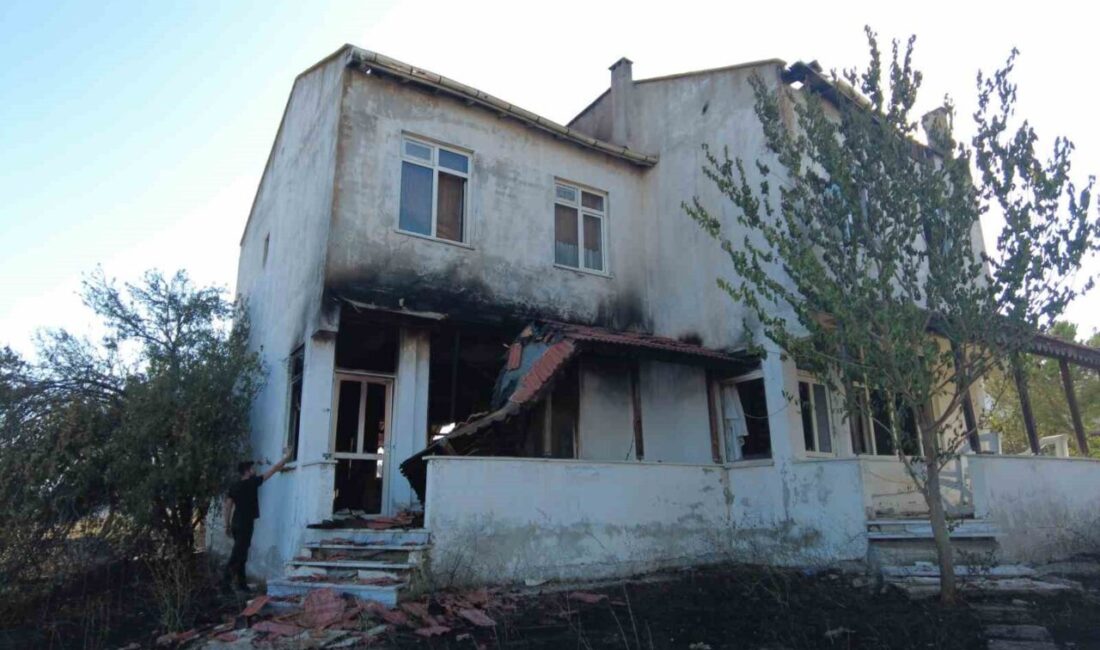 Edirne'de Büyükevren köyünde çıkan orman yangını nedeniyle 2 bin 700