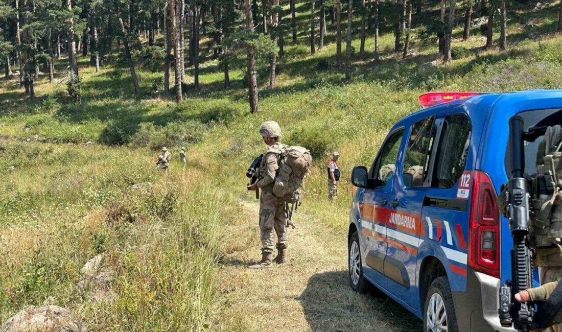 Erzurum İl Jandarma Komutanlığı, Şenkaya, İspir, Narman ve Oltu'da orman