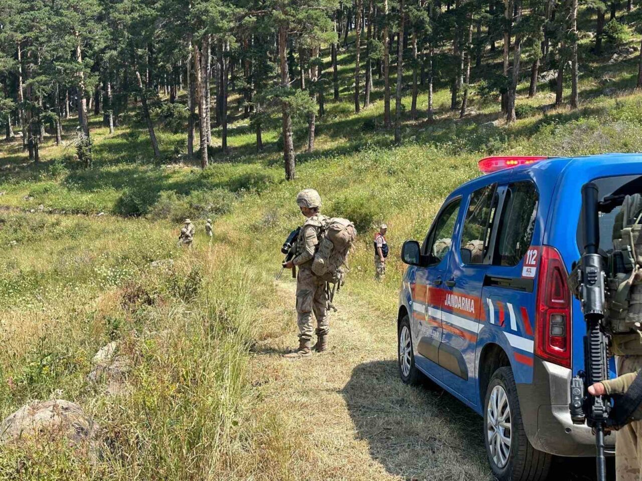 Erzurum İl Jandarma Komutanlığı, Şenkaya, İspir, Narman ve Oltu'da orman