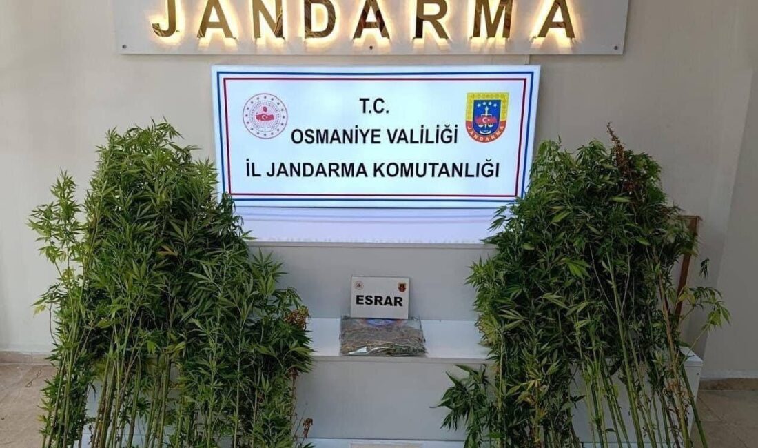 Osmaniye'de Jandarma, 4-10 Ağustos tarihleri arasında gerçekleştirdiği operasyonlarda 121 şüpheliyi
