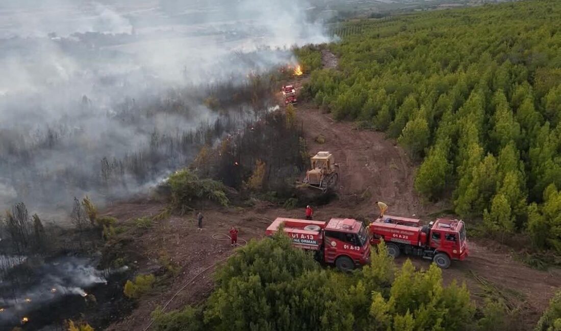 Osmaniye'nin Sumbas ilçesindeki Akdam köyünün Evciller Mahallesi'nde çıkan anız yangını