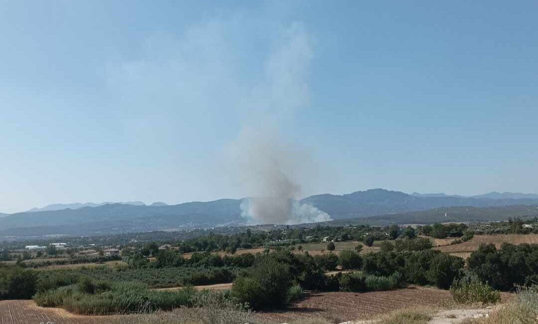 Osmaniye'nin Sumbas ilçesindeki Akdam köyünde ormanlık alanda başlayan yangın, henüz
