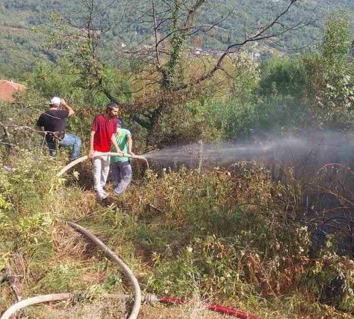 Karabük’ün Yenice ilçesindeki Değirmenyanı köyünde otluk alanda çıkan yangın, Erfeyli