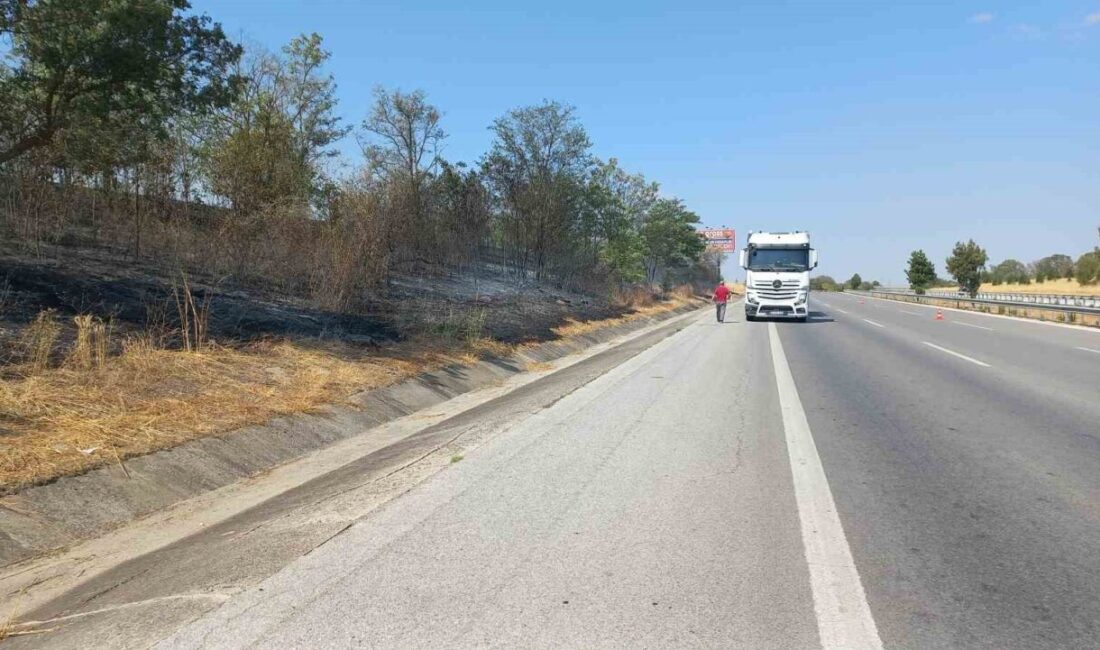 Edirne-Babaeski E-80 otobanında bir tırın lastiğinin fırlaması sonucu kuru otluk