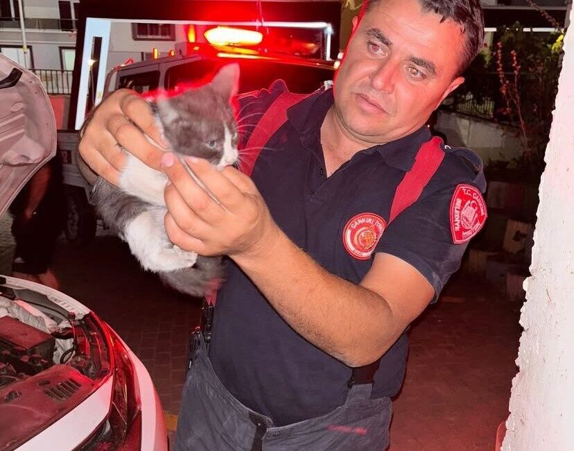 Çankırı'da bir otomobilin motor kısmına sıkışan yavru kedi, itfaiye ekipleri