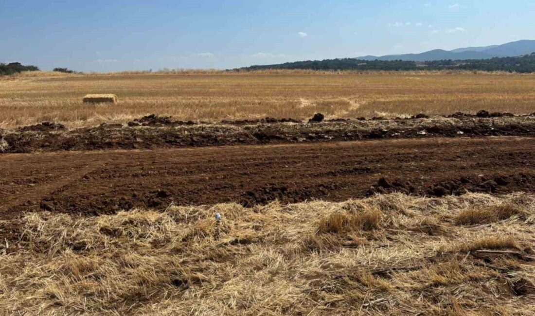 Bilecik'in Pazaryeri ilçesinde tarımsal üretimi artırmayı hedefleyen bir proje başladı.