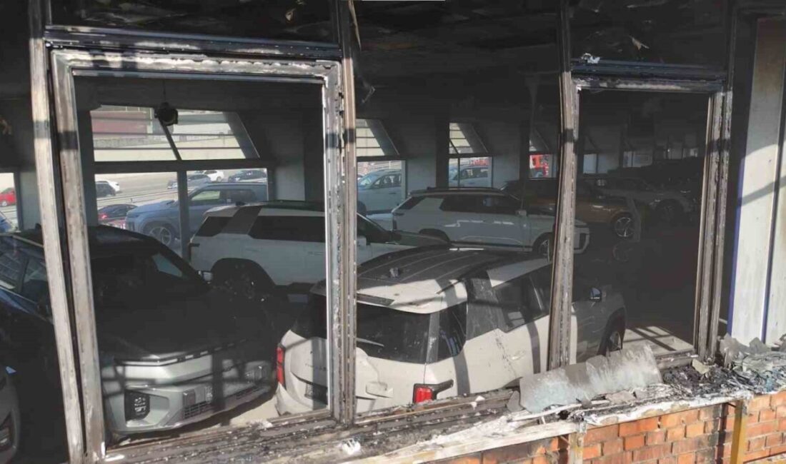 Pendik'teki bir oto galerinin yanındaki arazide çıkan yangın paniğe yol