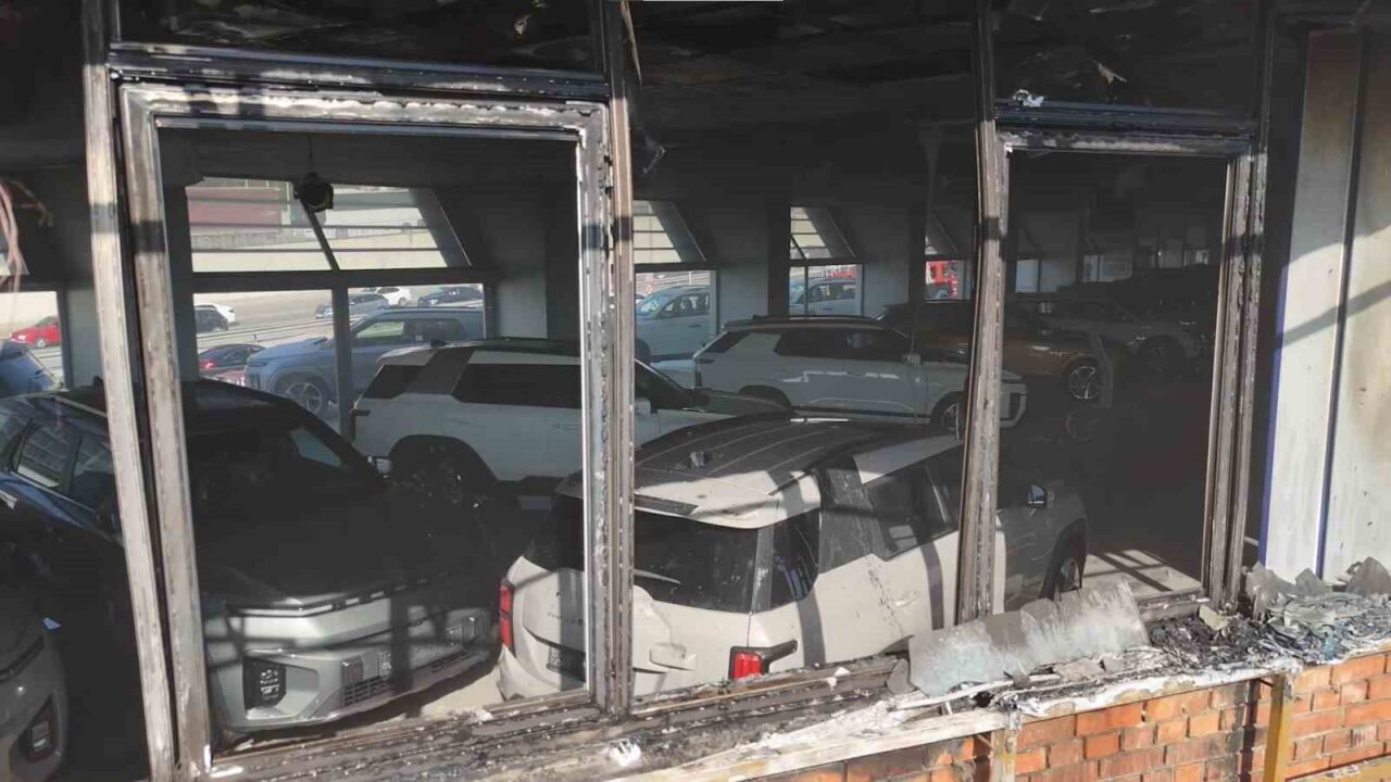 Pendik'teki bir oto galerinin yanındaki arazide çıkan yangın paniğe yol
