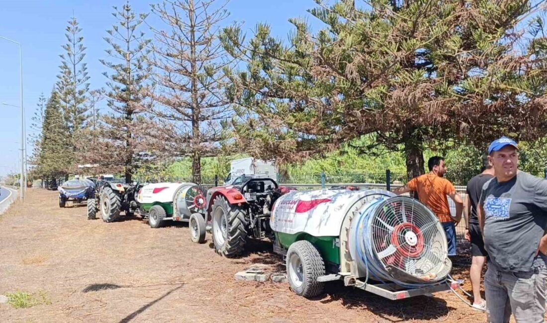 Manavgat'ın Evrenseki Mahallesi'nde D-400 Karayolu üzerindeki ağaçlar sulama yapılmadığı için