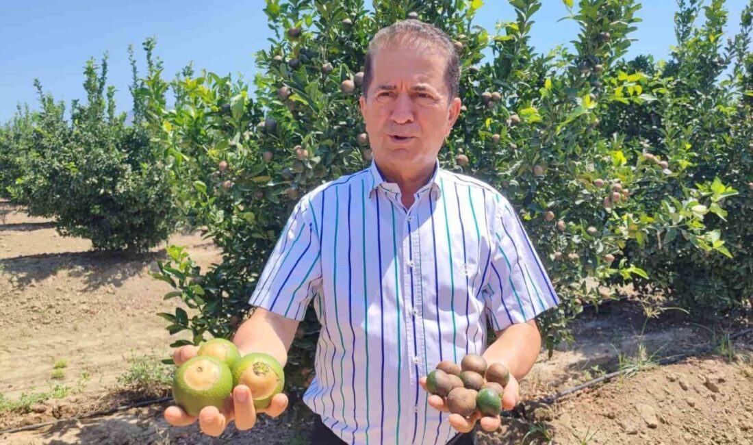 Adana, 9 Ağustos'ta 47,5 derece ile 95 yılın en yüksek
