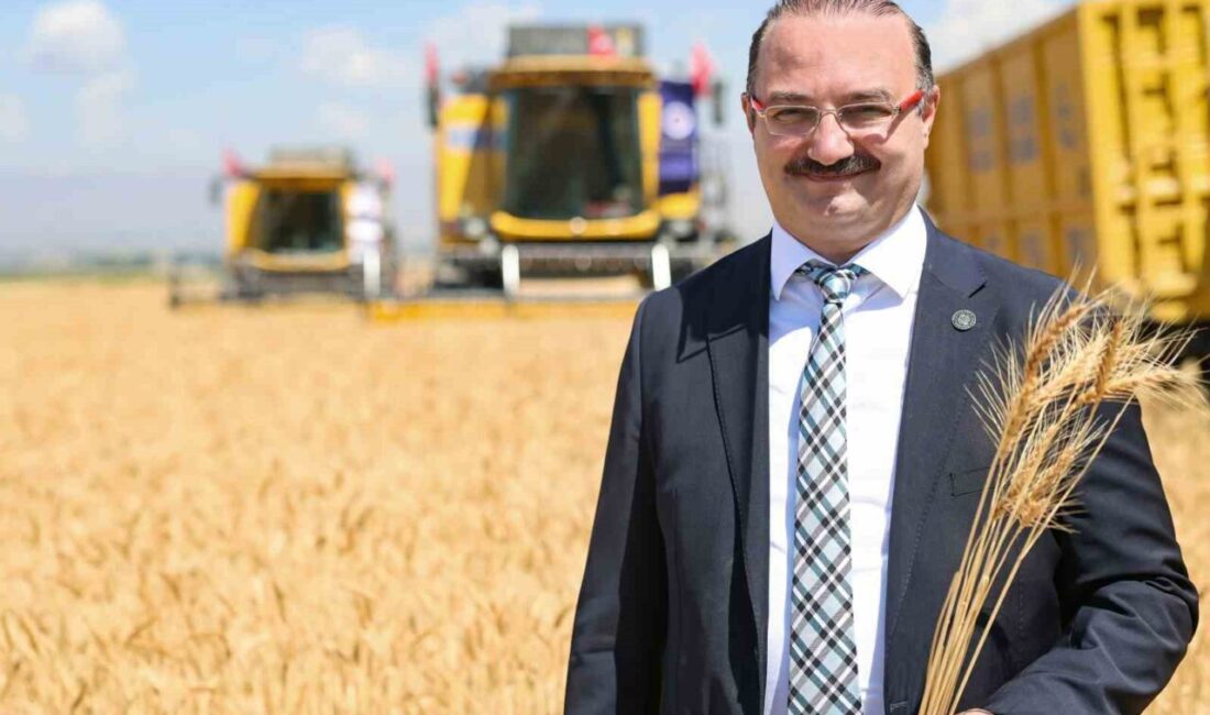 Erzurum Ovası'nda buğday hasadı, Atatürk Üniversitesi'nde düzenlenen törenle başladı. Rektör