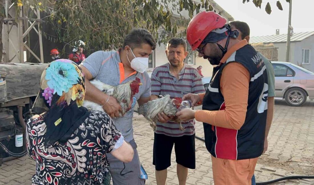 Çanakkale'nin Bayramiç ilçesindeki Saçaklı köyünde çıkan orman yangını, Birgül Civir'in
