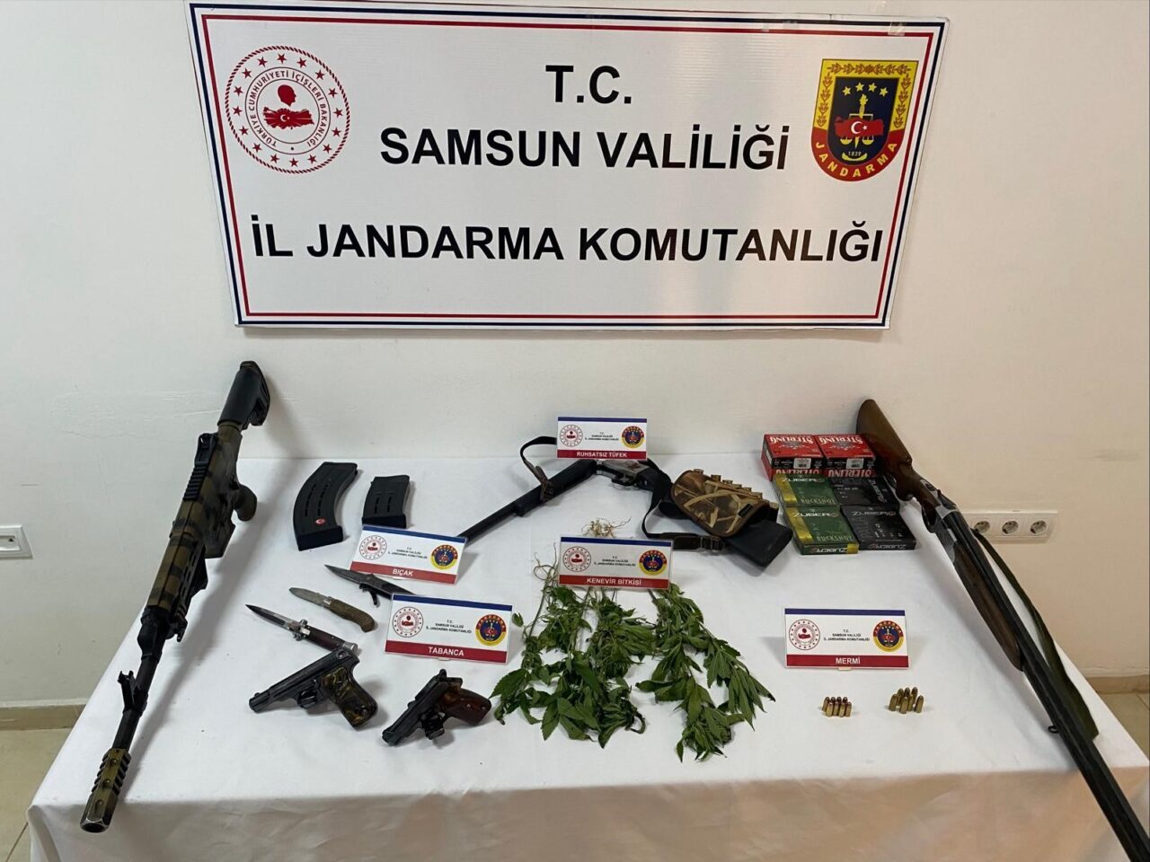Samsun'un Salıpazarı ilçesinde jandarma, ruhsatsız silah ve mühimmat bulunduran E.S.,