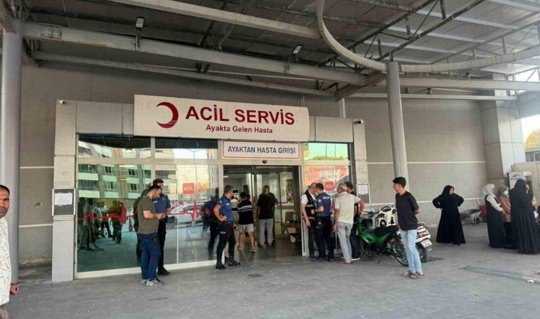 Şanlıurfa’nın Birecik ilçesinde arazi anlaşmazlığı yüzünden amca Murat Seçme (50)