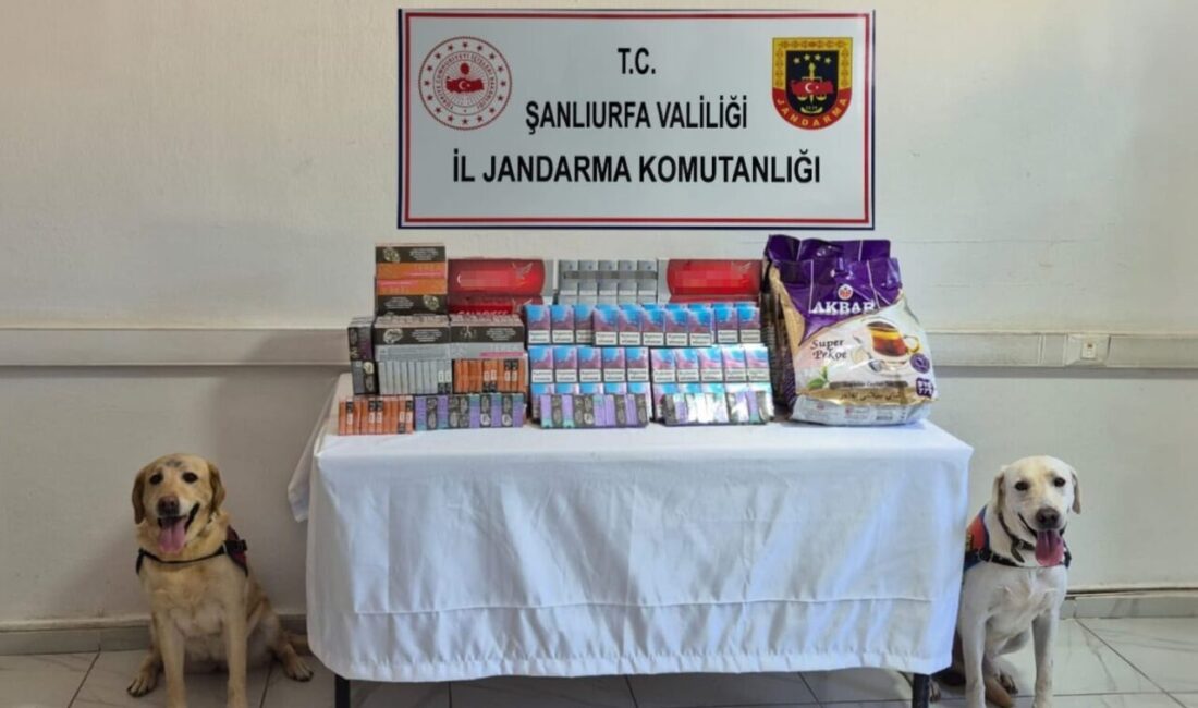Şanlıurfa İl Jandarma Komutanlığı, tütün ve alkol kaçakçılığına karşı düzenlediği