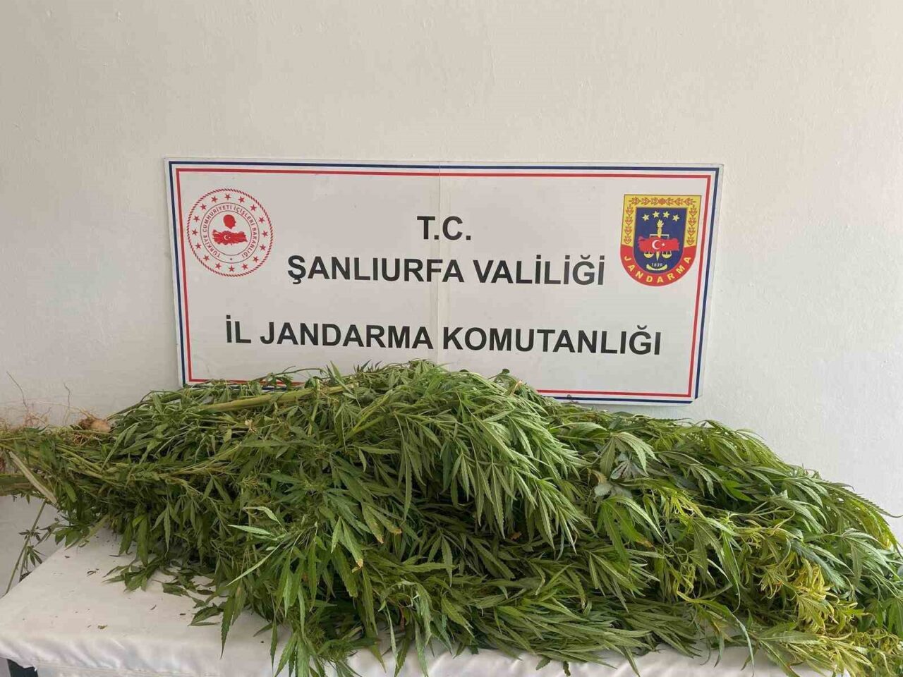 Şanlıurfa'nın Birecik ve Viranşehir ilçelerinde jandarma tarafından düzenlenen uyuşturucu operasyonunda,