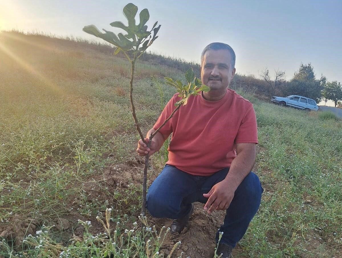 Manisa'nın Sarıgöl ilçesinde sarılop incir dikimi artış gösteriyor. Dadağlı Mahallesi'nde