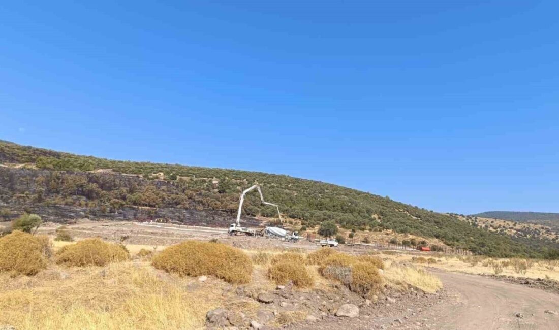 Manisa'nın Şehzadeler ilçesinde 11 Ağustos'ta meydana gelen orman yangınıyla ilgili