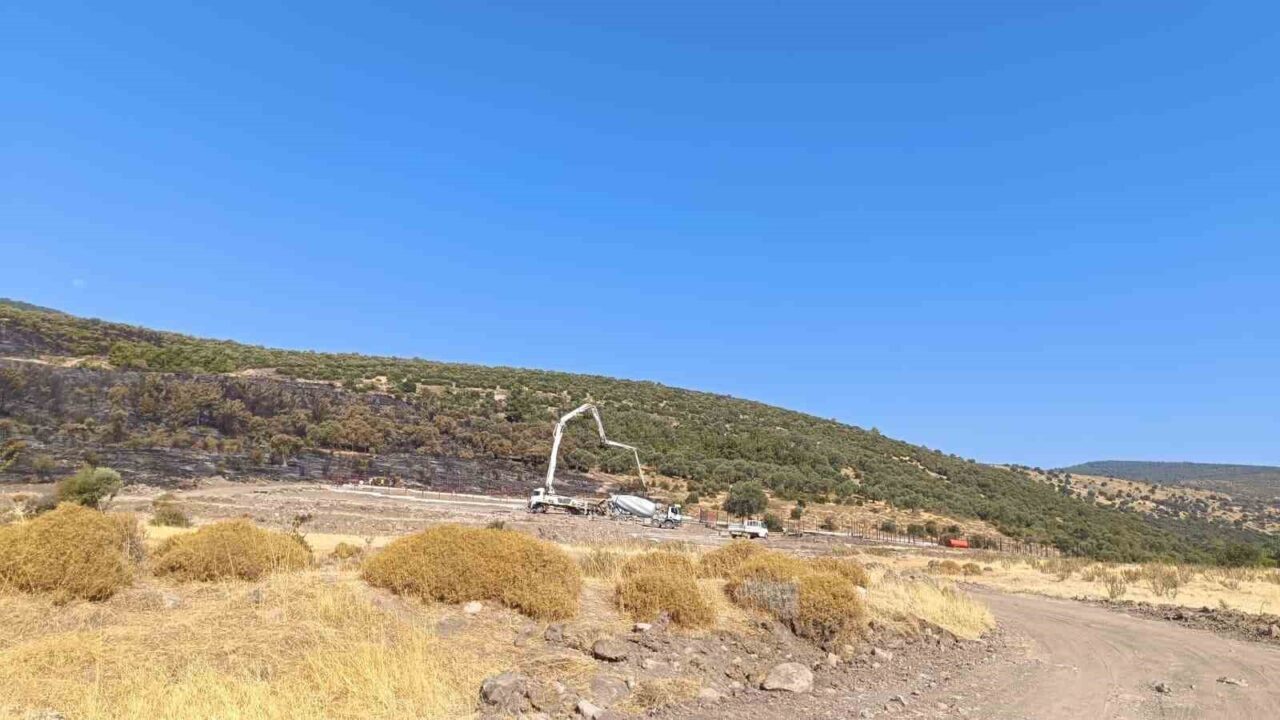 Manisa'nın Şehzadeler ilçesinde 11 Ağustos'ta meydana gelen orman yangınıyla ilgili