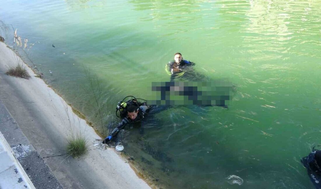 Adana'nın Toros Mahallesi'nde, kuzeniyle gezintiye çıkan 21 yaşındaki Muhammet Alperen