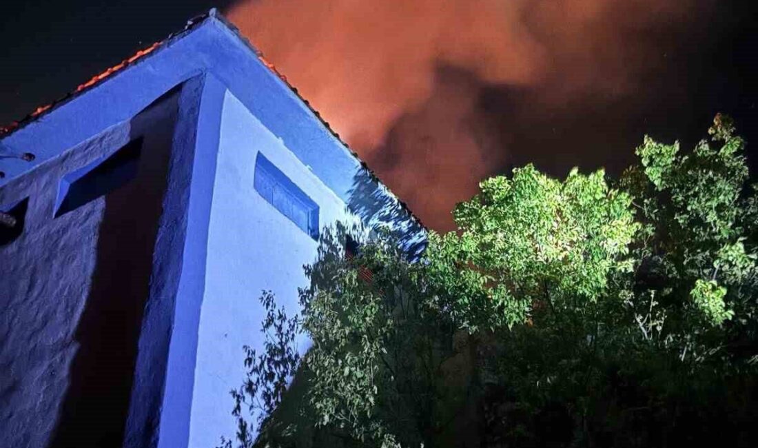 Siirt’in Kurtalan ilçesindeki Gözpınar köyünde, yerleşim alanına yakın bir trafoda
