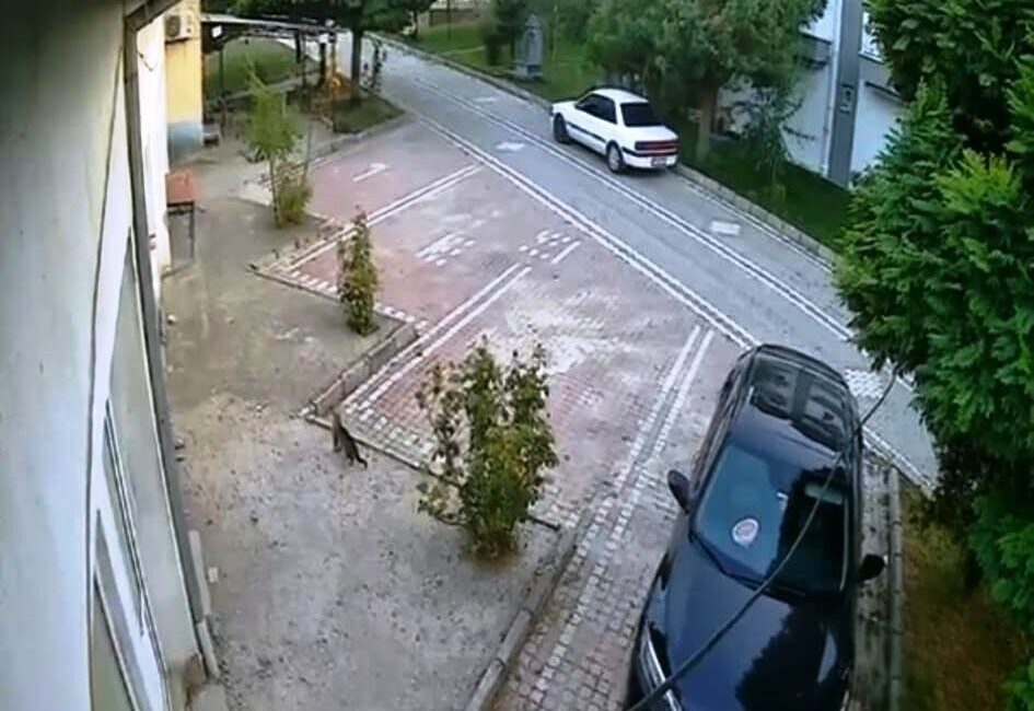 Balıkesir'in Sındırgı ilçesinde 6,1 büyüklüğündeki depremin anında, Hisarcık'taki Etikent sitesinin