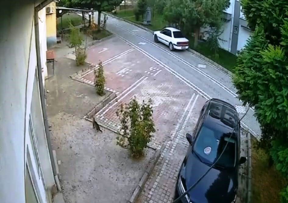 Balıkesir'in Sındırgı ilçesinde 6,1 büyüklüğündeki depremin anında, Hisarcık'taki Etikent sitesinin