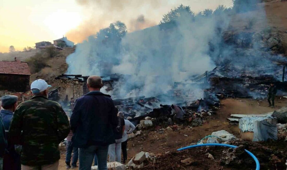 Sinop'un Kılıçlı köyünde Bayram Demirciler'e ait ev ve ahırda çıkan