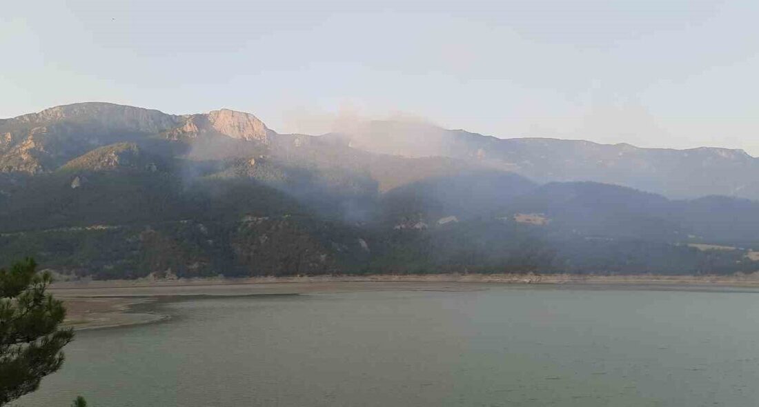 Sinop'un Durağan ilçesindeki Köklen köyünde çıkan orman yangınına havadan ve