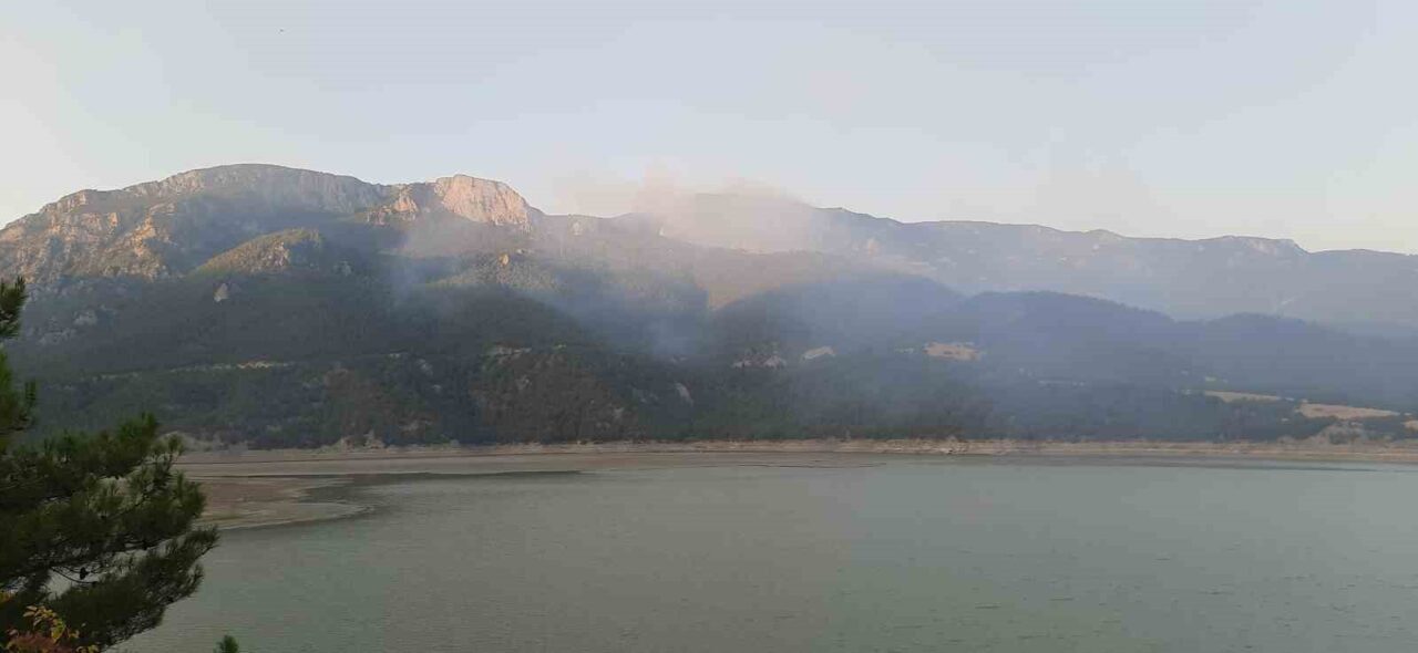 Sinop'un Durağan ilçesindeki Köklen köyünde çıkan orman yangınına havadan ve