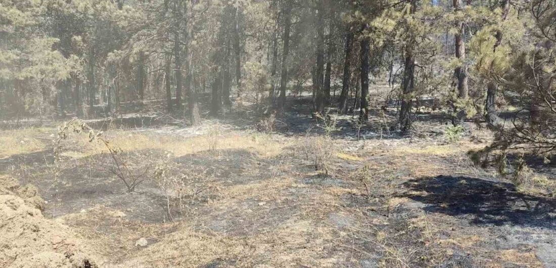 Sinop'un Durağan ilçesinde Köklen köyü yakınlarında çıkan orman yangını, etkili