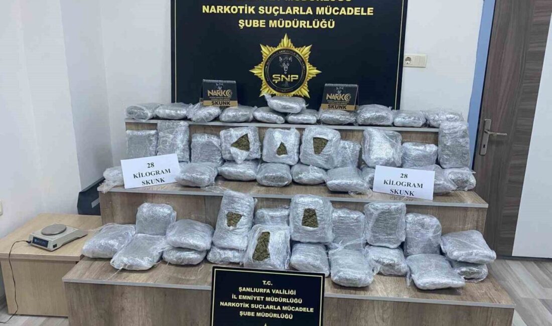 Şanlıurfa'nın Siverek ilçesinde gerçekleştirilen narkotik operasyonda 28 kilogram skunk ele
