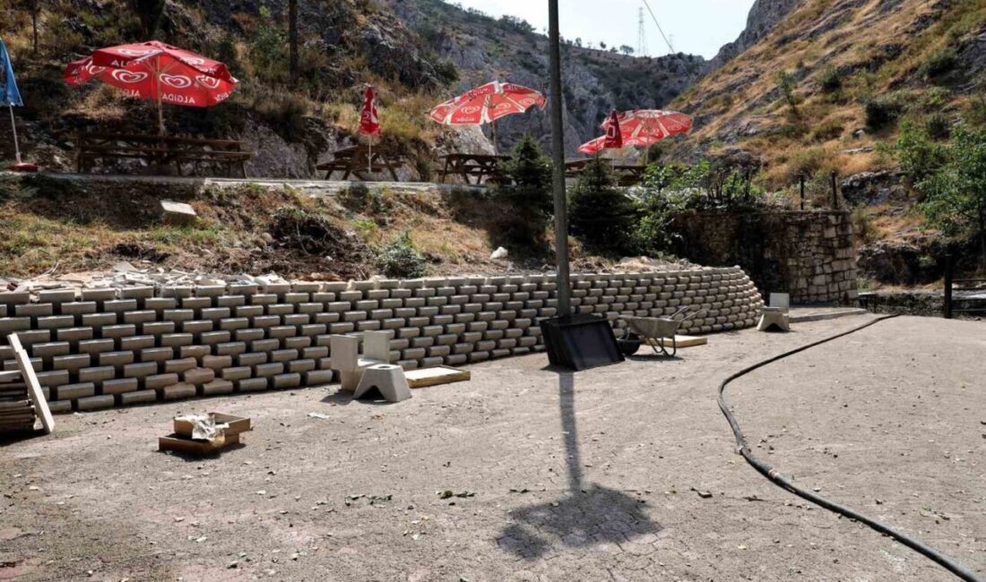 Bilecik’in Söğüt ilçesindeki Yukarı Dere Mesire Alanı, Belediye Başkanı Ferhat