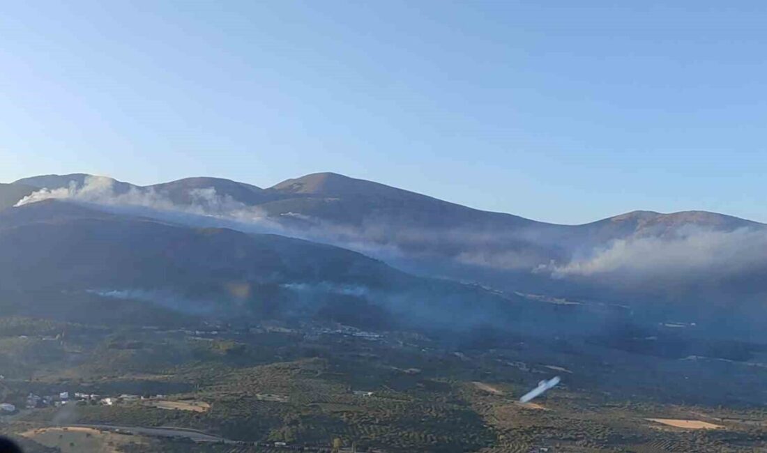 Manisa'nın Soma ve Alaşehir ilçelerinde çıkan orman yangınlarına müdahale sürüyor.