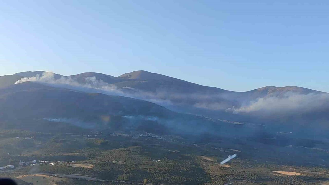 Manisa'nın Soma ve Alaşehir ilçelerinde çıkan orman yangınlarına müdahale sürüyor.