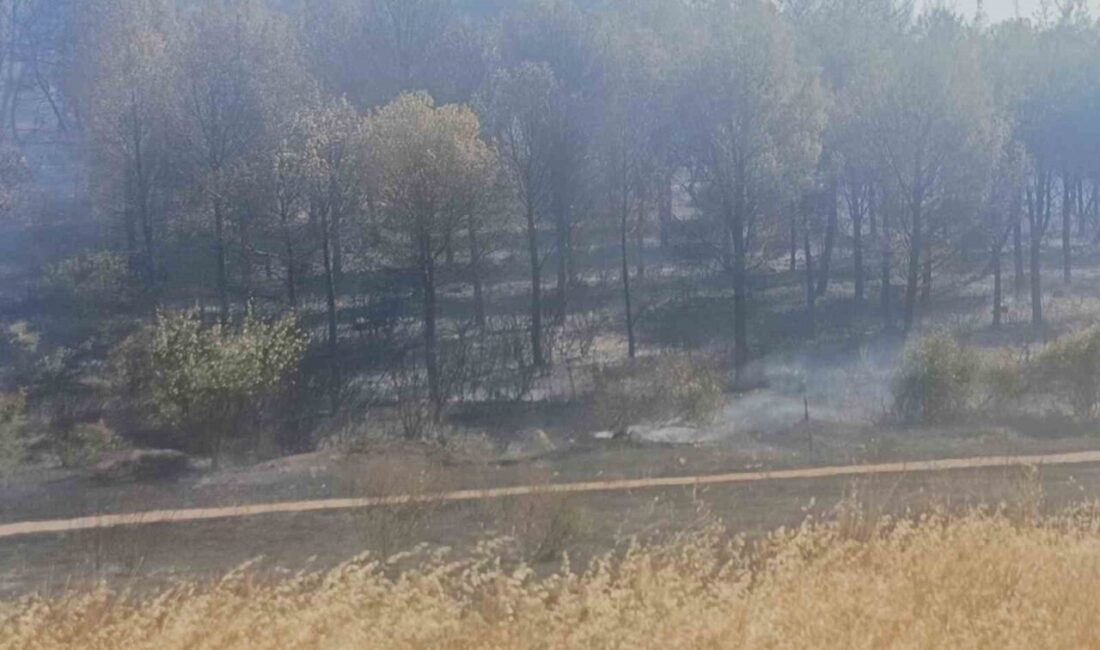 Manisa'nın Soma ilçesinde etkili olan orman yangını nedeniyle Turgutalp Mahallesi'nde