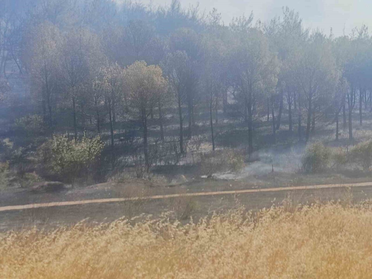 Manisa'nın Soma ilçesinde etkili olan orman yangını nedeniyle Turgutalp Mahallesi'nde