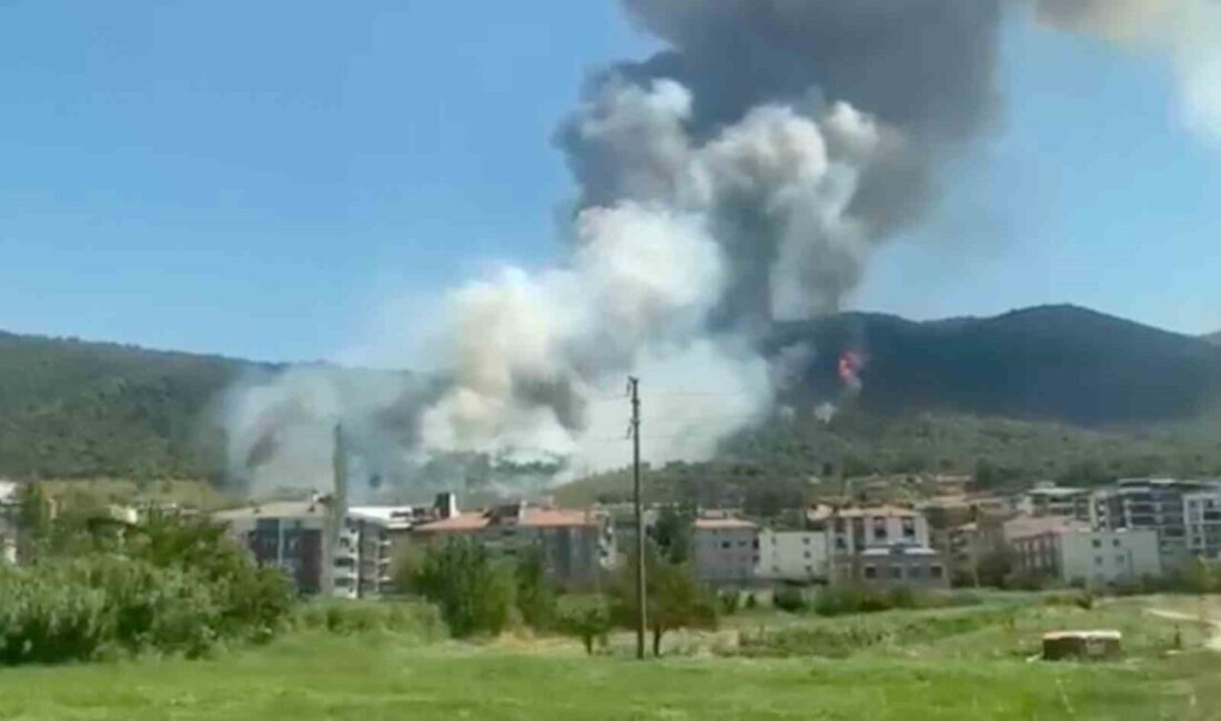 Manisa'nın Soma ilçesindeki devlet hastanesinin arkasındaki ormanlık alanda çıkan yangına,