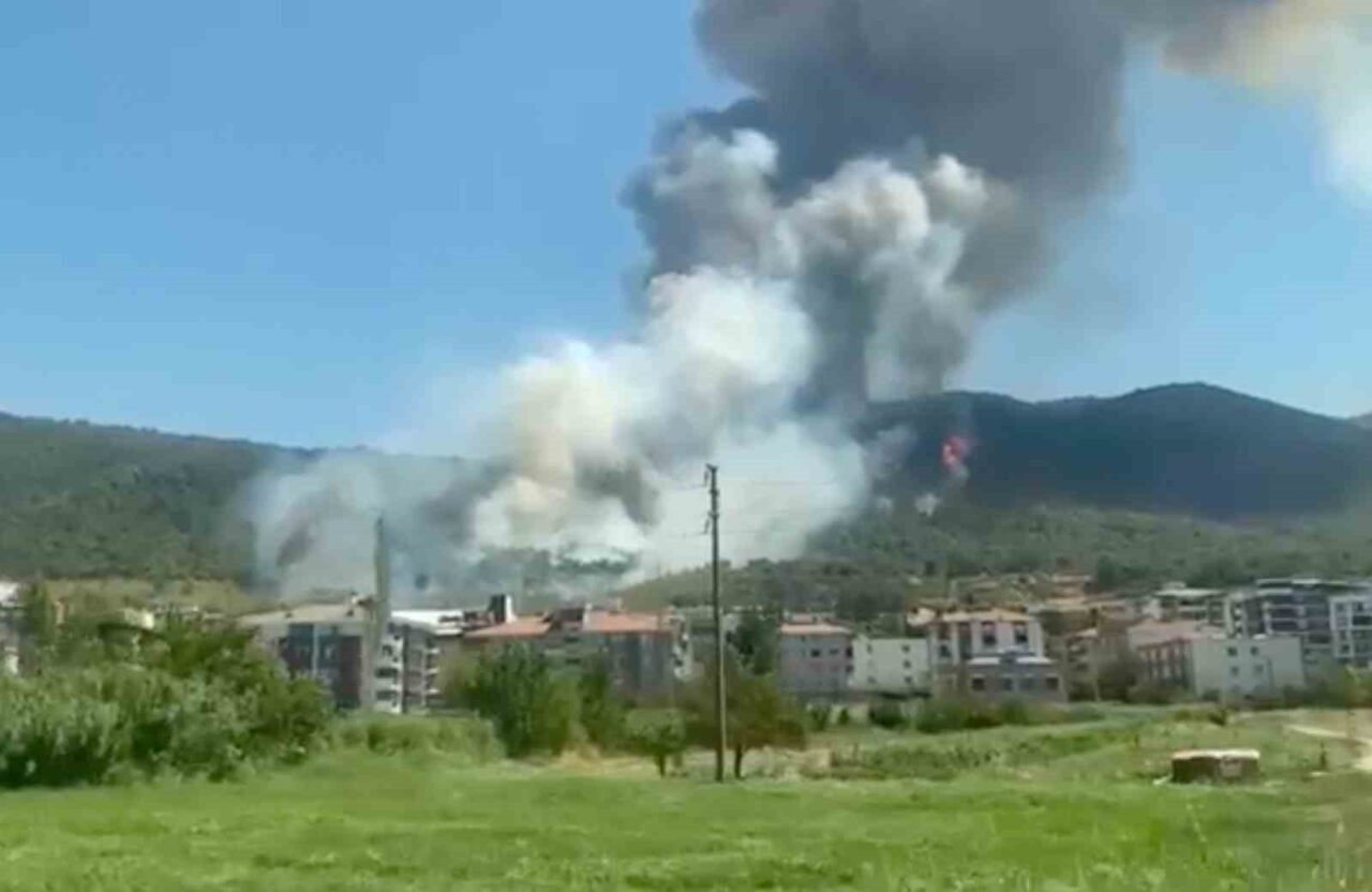 Manisa'nın Soma ilçesindeki devlet hastanesinin arkasındaki ormanlık alanda çıkan yangına,