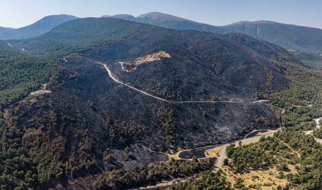 Manisa’nın Soma ilçesindeki Turgutalp Mahallesi’nde 11 Ağustos’ta başlayan orman yangını,