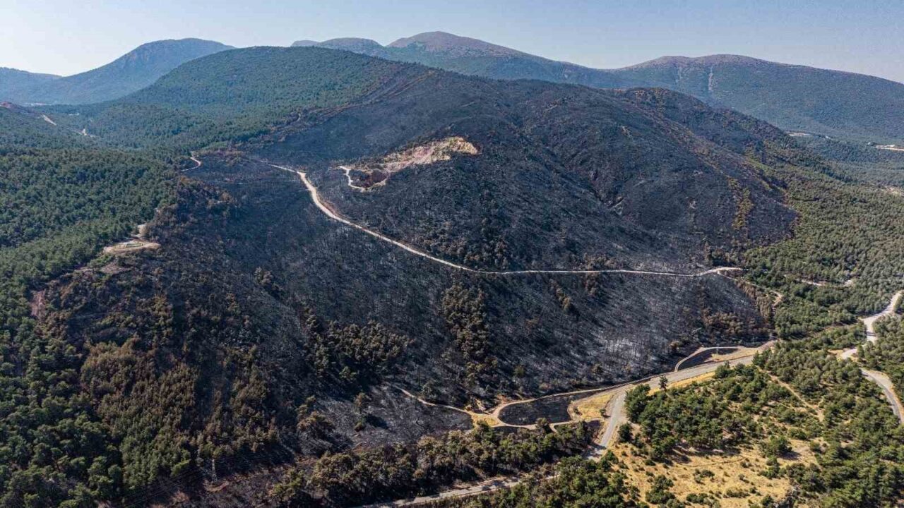 Manisa’nın Soma ilçesindeki Turgutalp Mahallesi’nde 11 Ağustos’ta başlayan orman yangını,